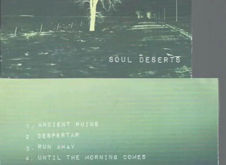 CD- And Then We Fall ‎– Soul Deserts ansehen